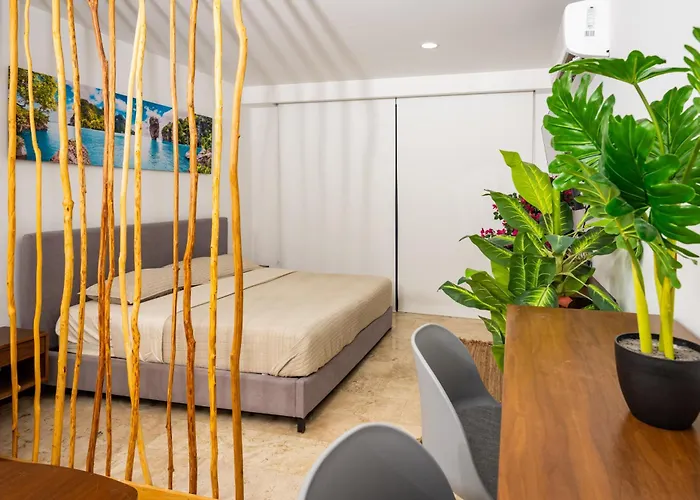 Walk Distance To Wallmart And 5ta Avenue * Playa del Carmen